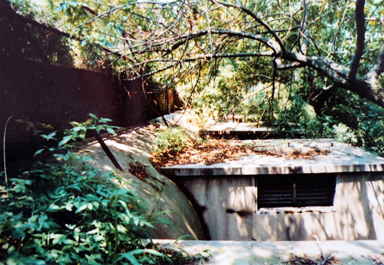 众赢国际(中国)官方网站