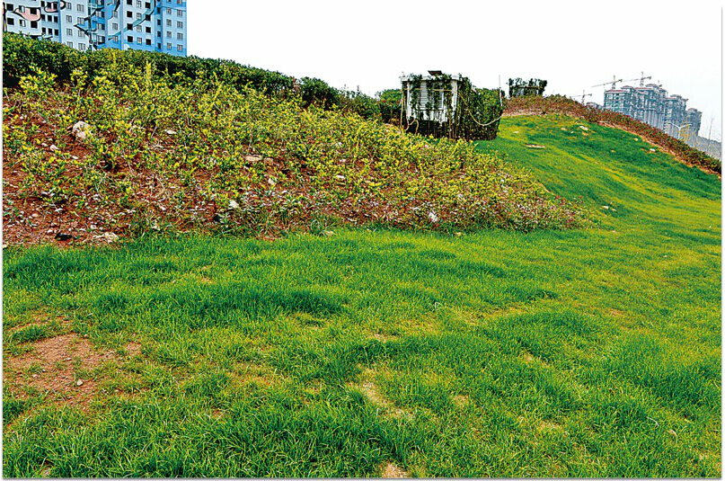 众赢国际(中国)官方网站